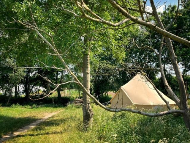代因泽 'T Schaaphof Tent En Ontbijt酒店 外观 照片